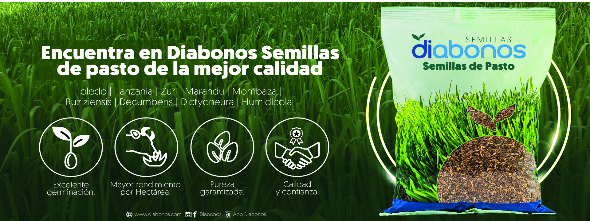 Galería Diabonos